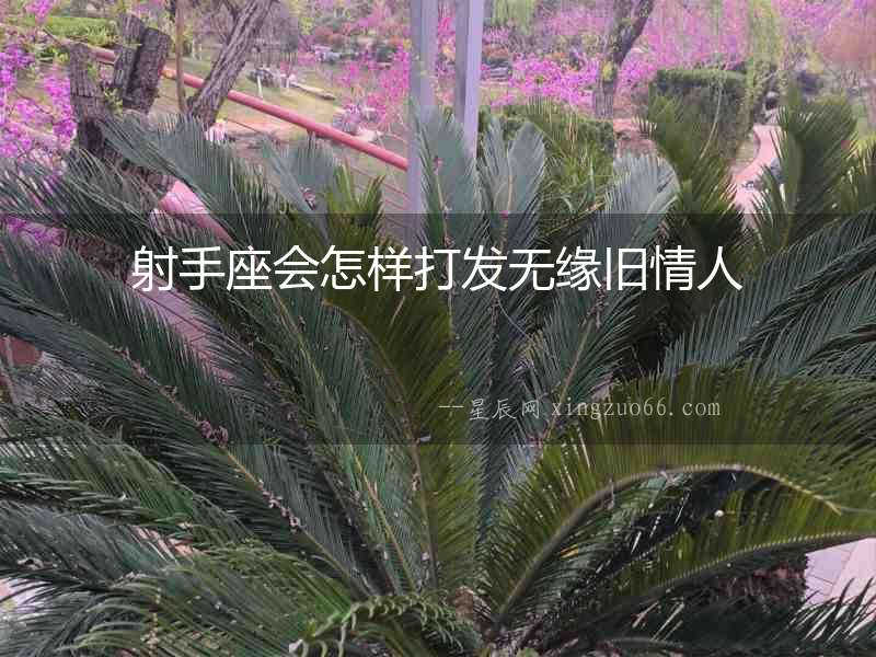 射手座會怎樣打發無緣舊情人