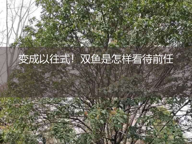 變成以往式！雙魚是怎樣看待前任