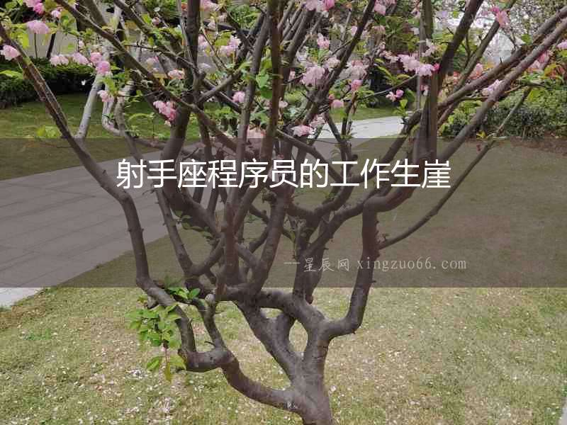 射手座程序員的工作生崖