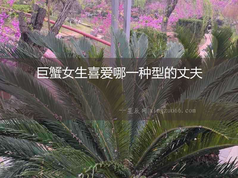 巨蟹女生喜愛哪一種型的丈夫