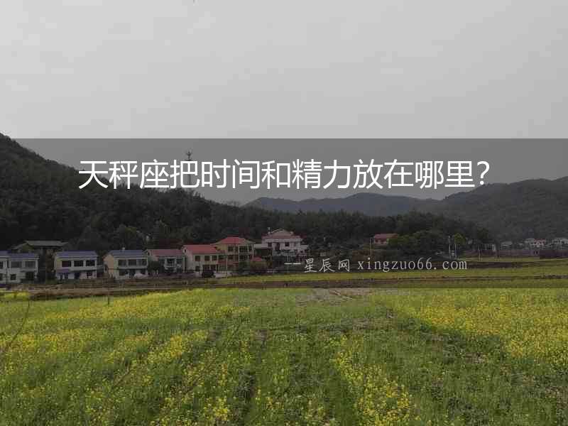 天秤座把時間和精力放在哪里？