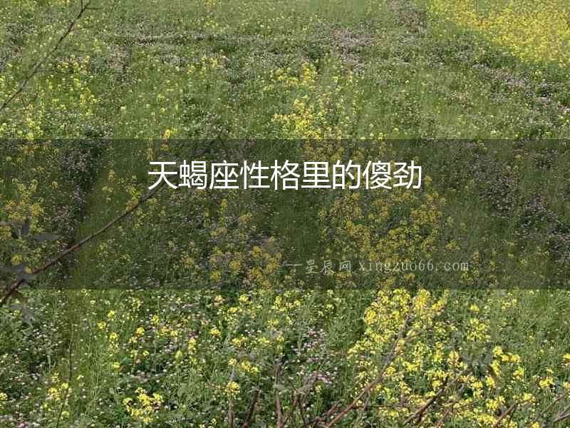 天蝎座性格里的傻勁