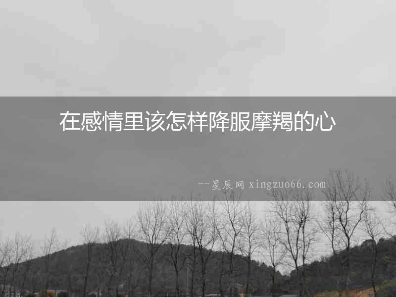 在感情里該怎樣降服摩羯的心