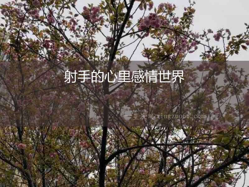 射手的心里感情世界