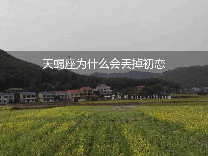 天蝎座為什么會丟掉初戀