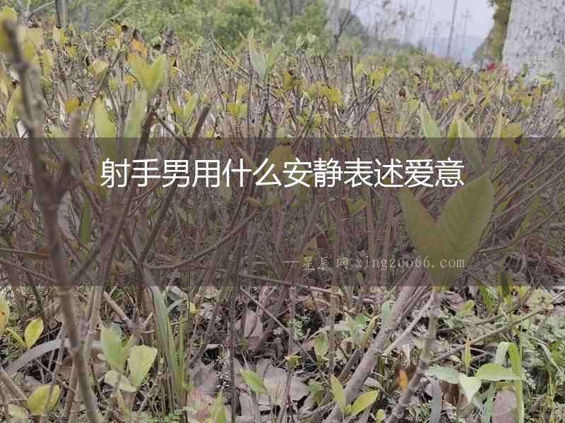 射手男用什么安靜表述愛意