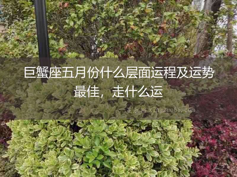 巨蟹座五月份什么層面運程及運勢最佳，走什么運