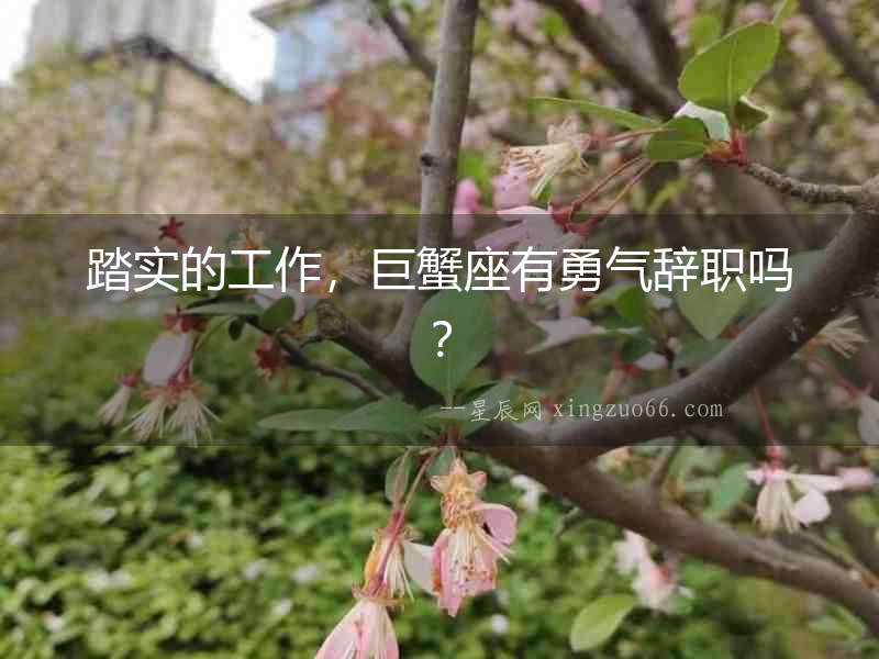 踏實的工作，巨蟹座有勇氣辭職嗎？