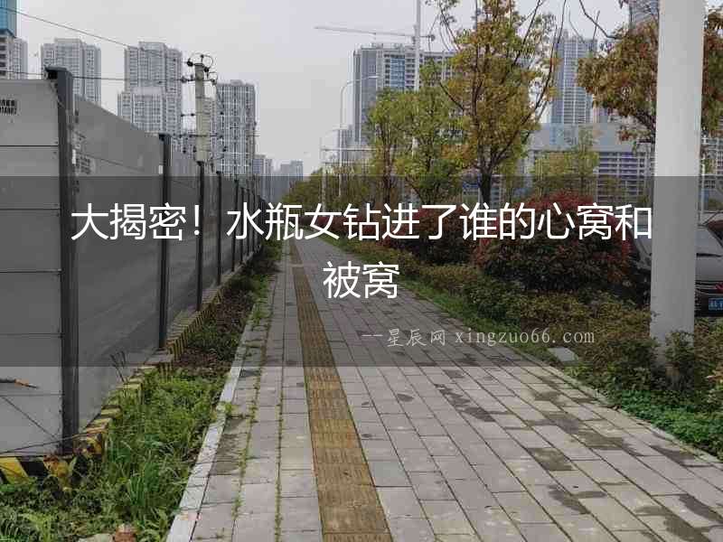 大揭密！水瓶女鉆進了誰的心窩和被窩