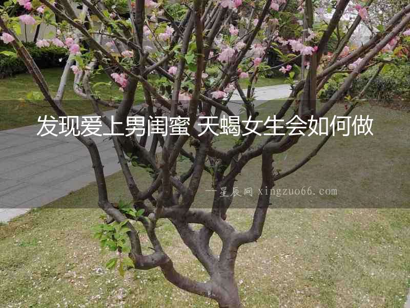 發現愛上男閨蜜 天蝎女生會如何做
