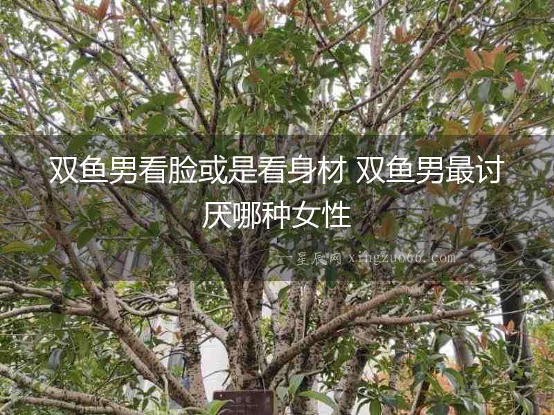 雙魚男看臉或是看身材 雙魚男最討厭哪種女性