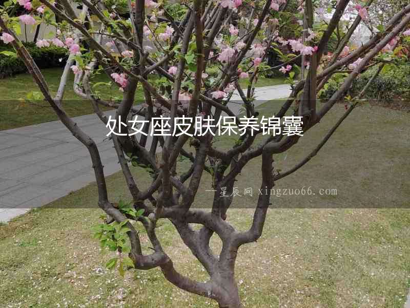 處女座皮膚保養(yǎng)錦囊