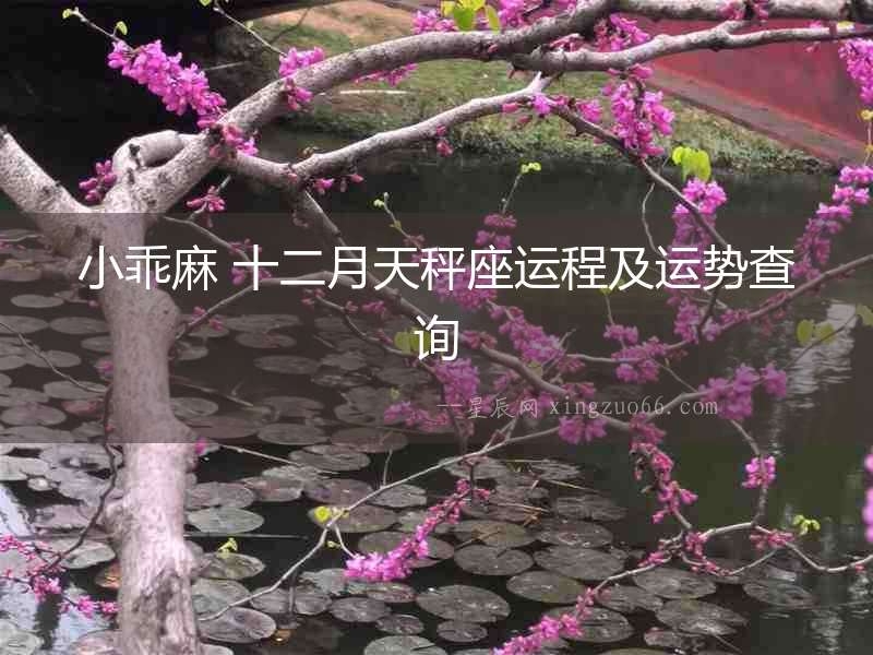小乖麻 十二月天秤座運(yùn)程及運(yùn)勢查詢