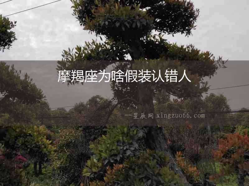 摩羯座為啥假裝認錯人