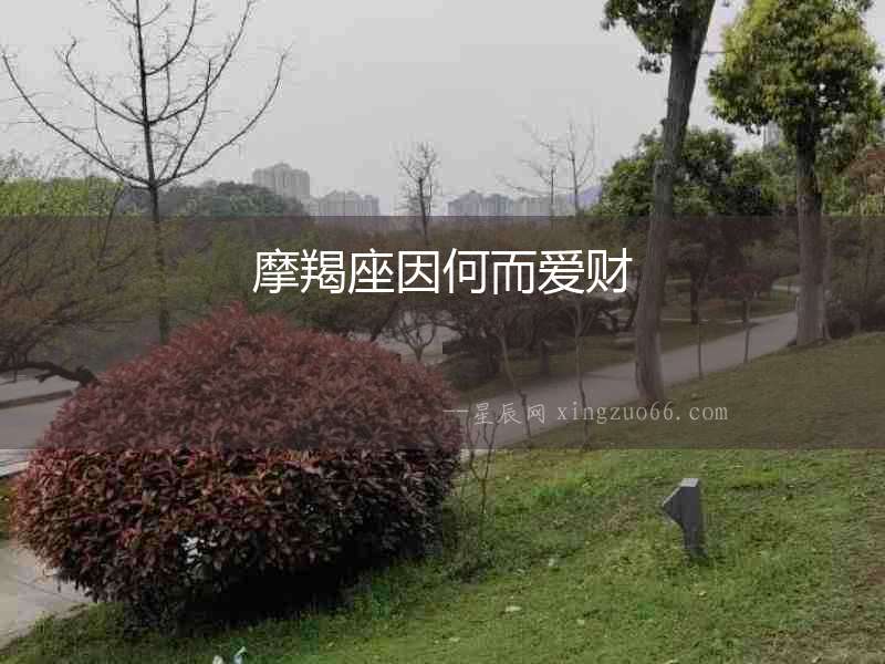摩羯座因何而愛財(cái)