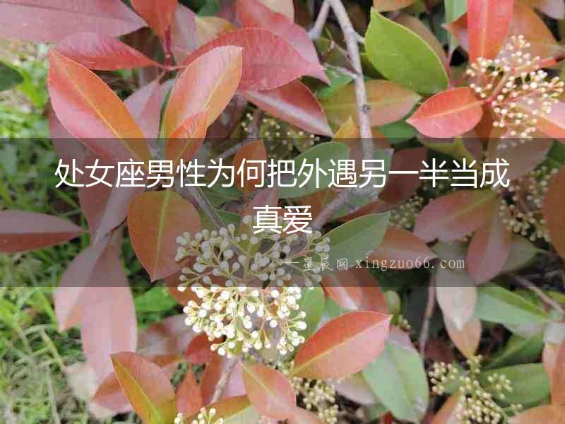 處女座男性為何把外遇另一半當成真愛