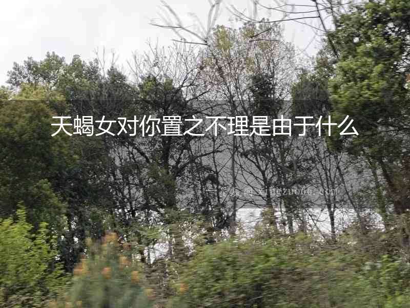 天蝎女對你置之不理是由于什么