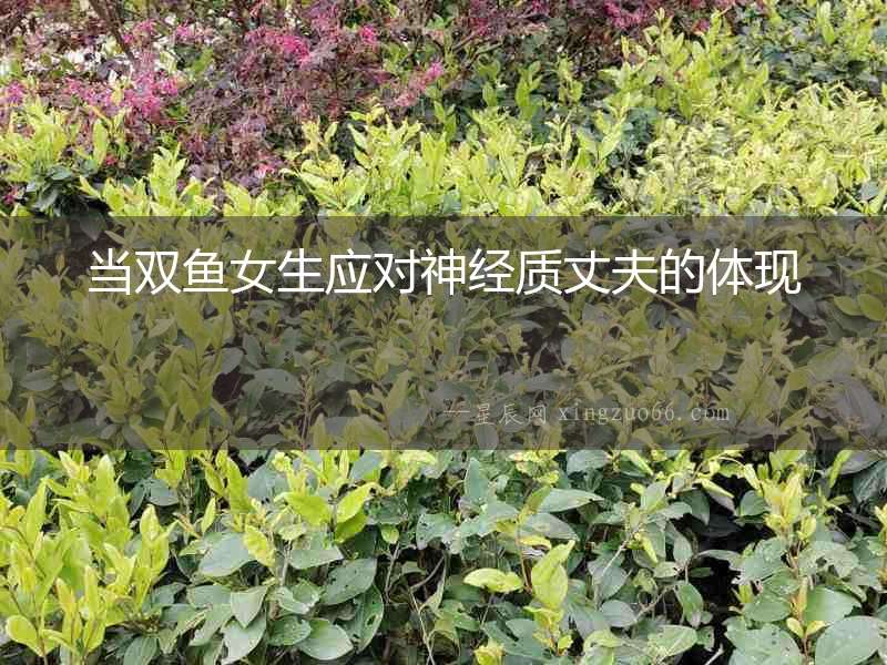 當雙魚女生應對神經質丈夫的體現