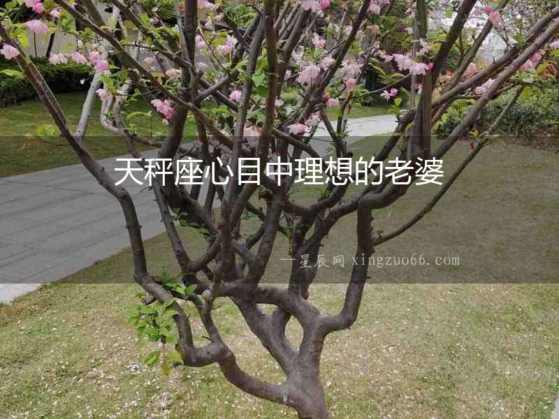 天秤座心目中理想的老婆