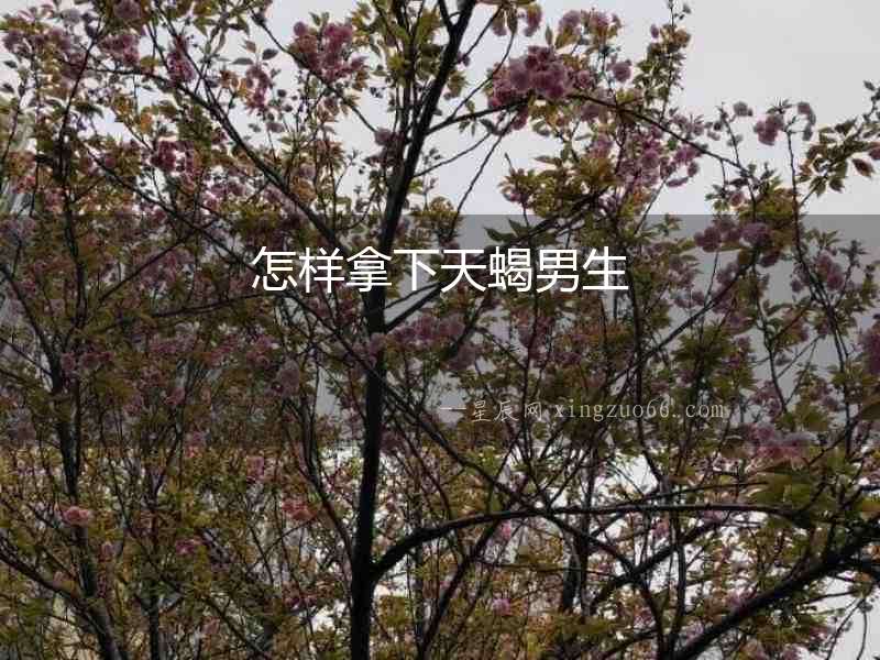 怎樣拿下天蝎男生