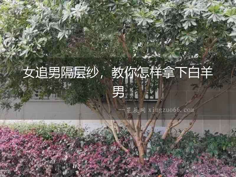 女追男隔層紗，教你怎樣拿下白羊男