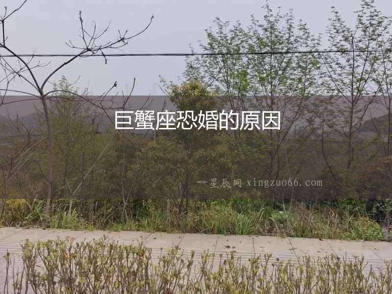 巨蟹座恐婚的原因