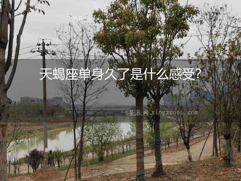 天蝎座單身久了是什么感受？