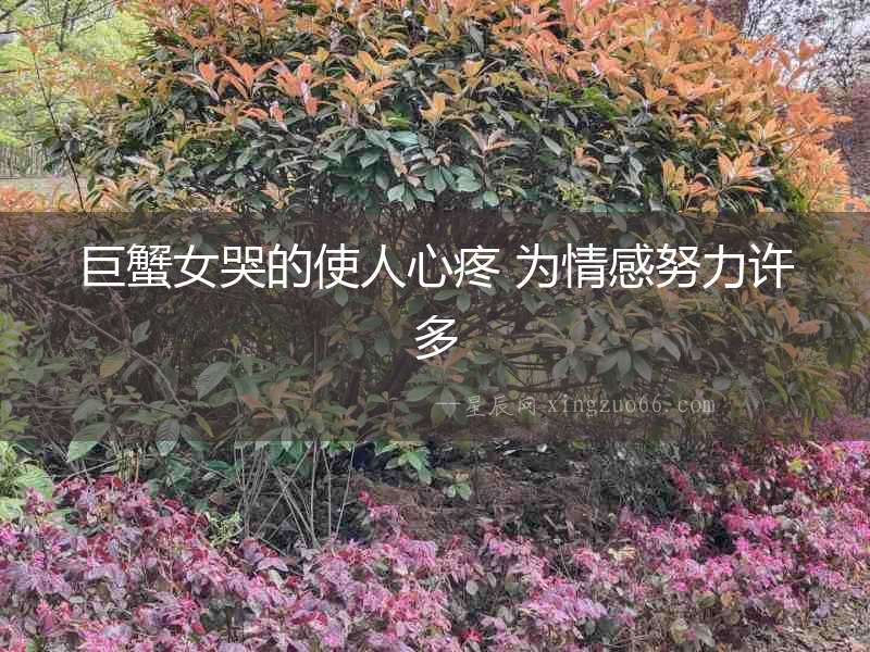 巨蟹女哭的使人心疼 為情感努力許多