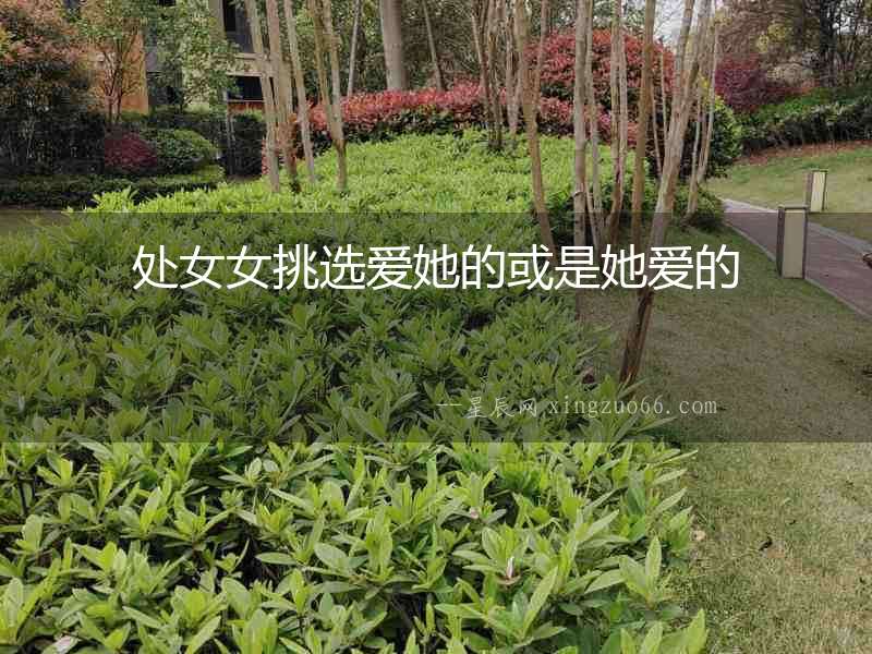 處女女挑選愛她的或是她愛的