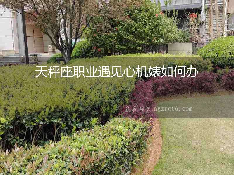 天秤座職業遇見心機婊如何辦