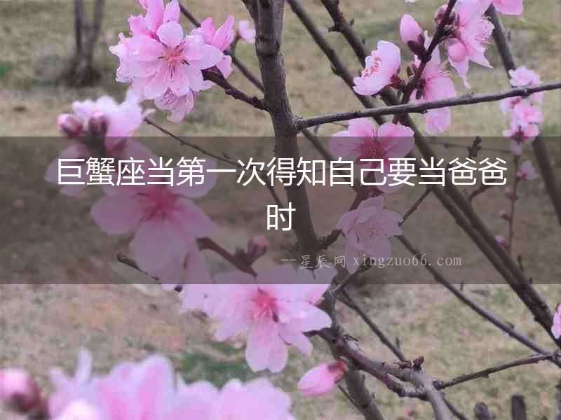 巨蟹座當第一次得知自己要當爸爸時