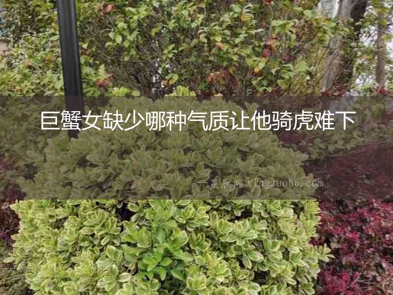 巨蟹女缺少哪種氣質讓他騎虎難下