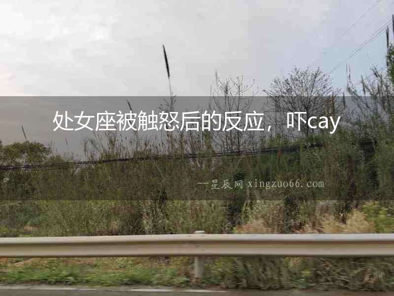 處女座被觸怒后的反應，嚇cay