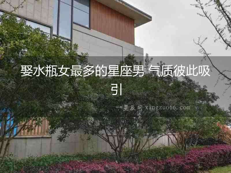 娶水瓶女最多的星座男 氣質彼此吸引