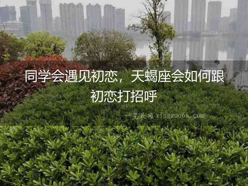 同學會遇見初戀，天蝎座會如何跟初戀打招呼
