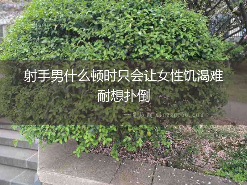 射手男什么頓時只會讓女性饑渴難耐想撲倒