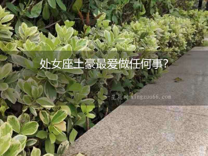 處女座土豪最愛做任何事？