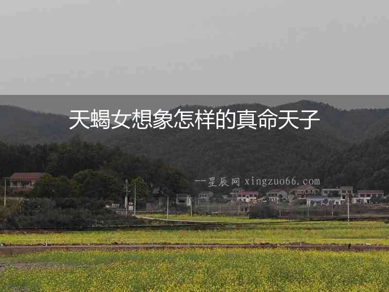 天蝎女想象怎樣的真命天子