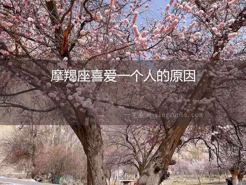 摩羯座喜愛一個人的原因