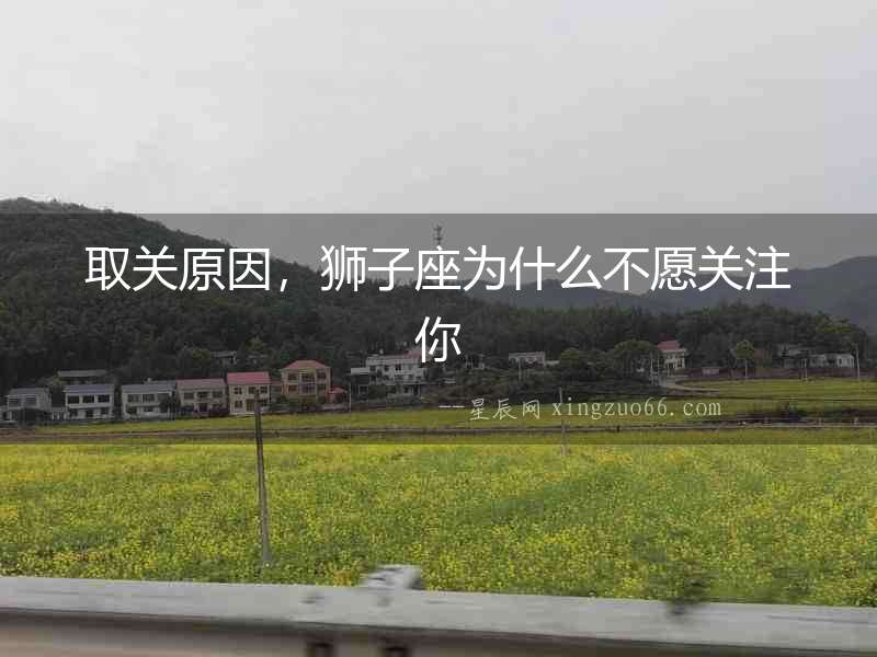 取關(guān)原因，獅子座為什么不愿關(guān)注你