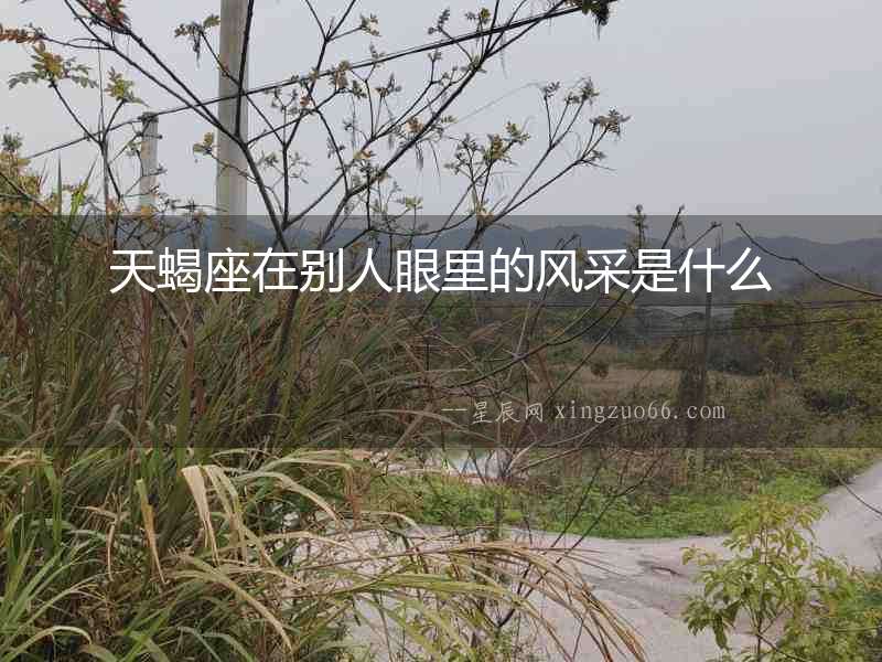 天蝎座在別人眼里的風采是什么