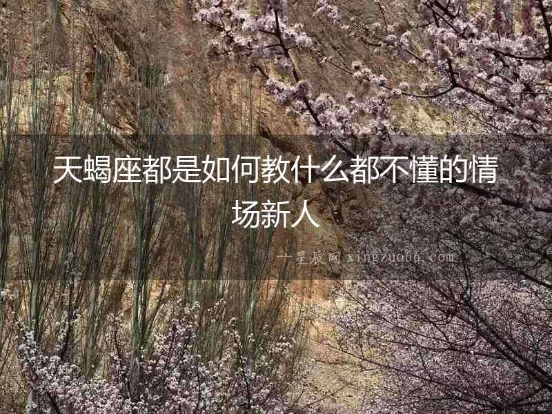 天蝎座都是如何教什么都不懂的情場新人