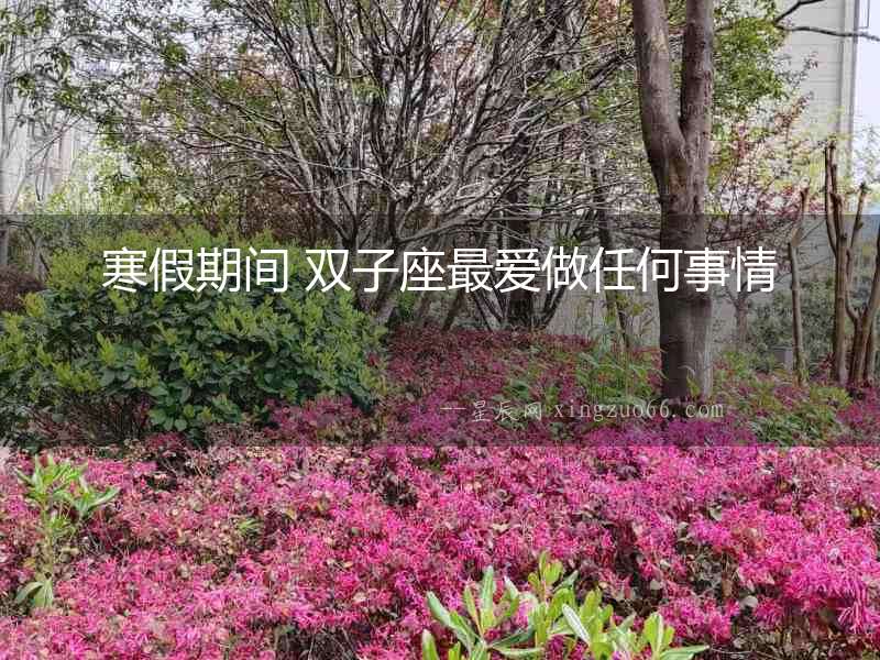 寒假期間 雙子座最愛做任何事情
