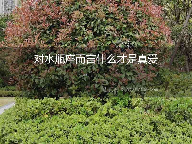 對水瓶座而言什么才是真愛