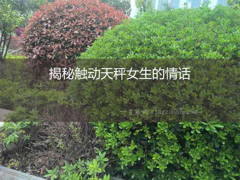 揭秘觸動(dòng)天秤女生的情話