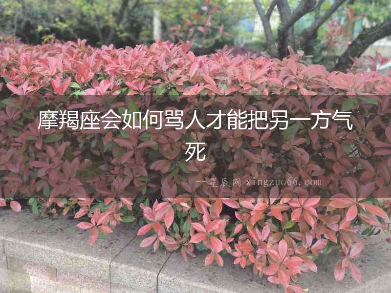 摩羯座會如何罵人才能把另一方氣死
