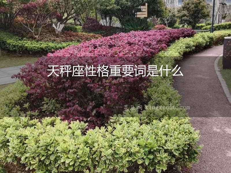 天秤座性格重要詞是什么