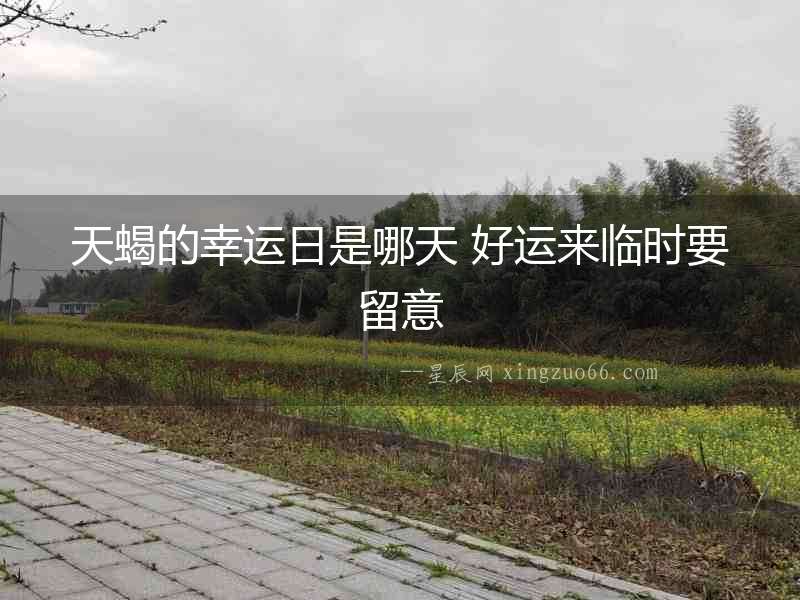 天蝎的幸運日是哪天 好運來臨時要留意