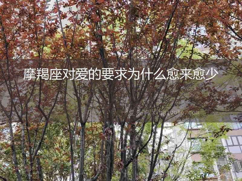 摩羯座對愛的要求為什么愈來愈少