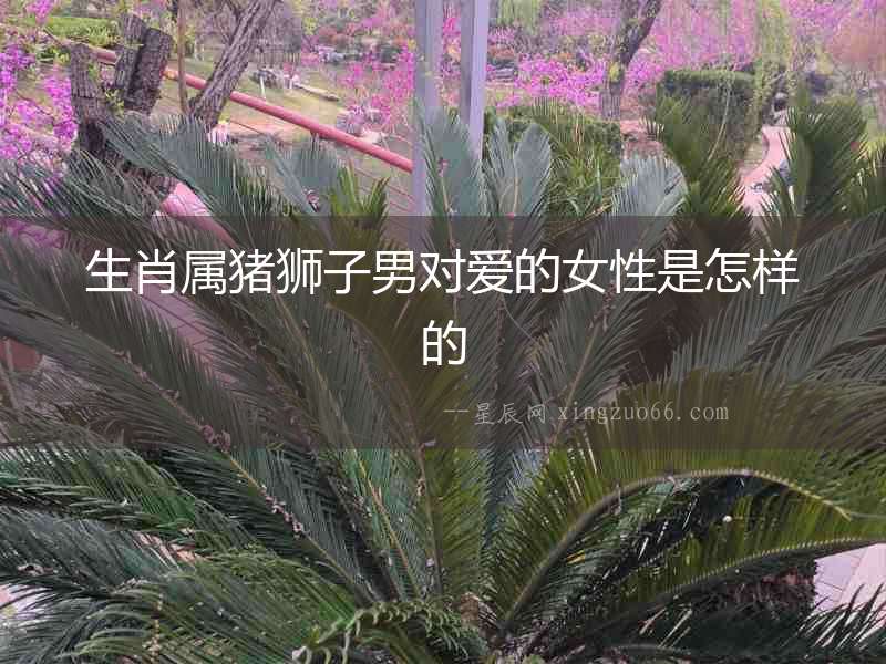生肖屬豬獅子男對愛的女性是怎樣的